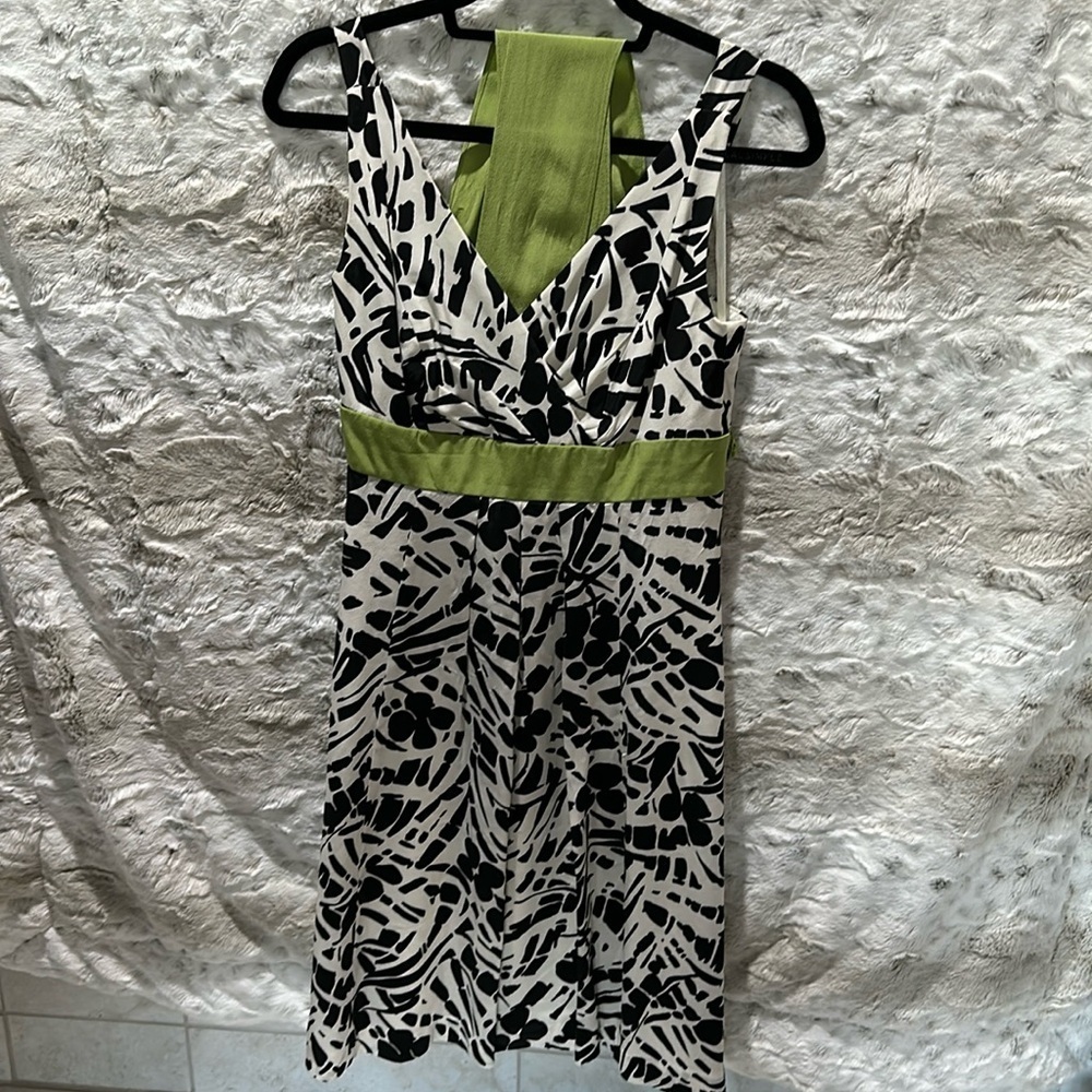 Ann Taylor Dress - Size 6